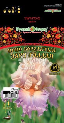  Ирис Заря Валдая (1 шт) бородатый Хохлома Эксклюзив