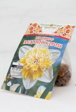  Нарцисс Ледяной Король 12/14 (5 шт) серия Хохлома / арт. 201332 /