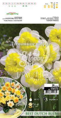  Нарцисс Лимонное гофре 10/12 (3 шт) сплит-корона BDB