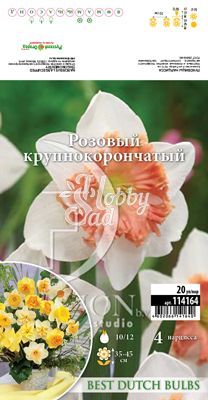  Нарцисс Розовый крупнокорончатый 10/12 (4 шт) крупнокорончатый BDB