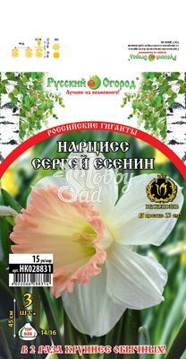  Нарцисс Сергей Есенин 14/16 (3 шт) серия Хохлома / арт. НК028831 /
