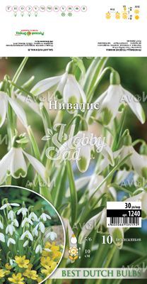  Подснежник Нивалис/Снежный 5/6 (10 шт) / арт. 1240 /
