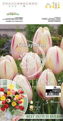  Тюльпан Камарилья 12/+ (5 шт) / арт. 114131 /