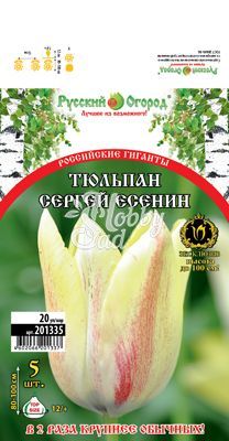  Тюльпан Сергей Есенин 12/+ (5 шт) серия Хохлома / арт. 201335 /
