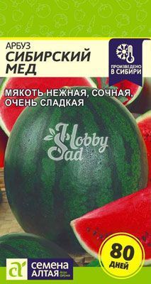 Арбуз Сибирский Мед (1 гр) Семена Алтая