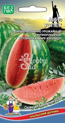 Арбуз Успех (10 шт) Уральский Дачник