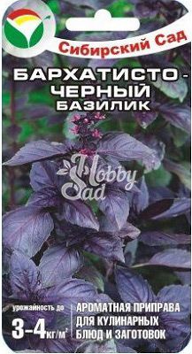 Базилик Бархатисто-черный (0,5 г) Сибирский Сад