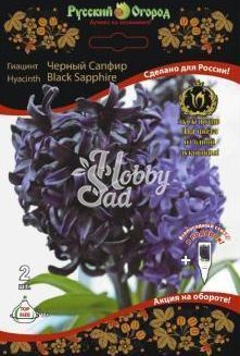  Гиацинт Черный Сапфир 14/+ (2 шт)