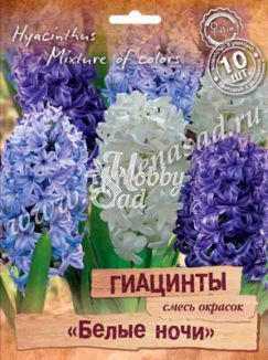Гиацинты "Белые ночи" смесь окрасок 14/15 (10 шт) Поиск