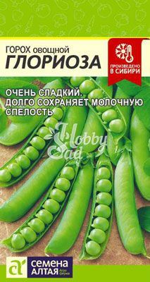 Горох Глориоза (10 гр) Семена Алтая
