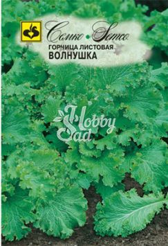 Горчица Волнушка листовая (1 г) Семко