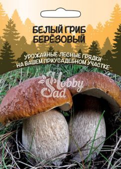 Грибы Белый гриб Березовый (ССПК) (15 г.,30 мл) Уральский Дачник