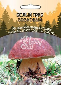 Грибы Белый Гриб Сосновый (ССПК) (15 г.,30 мл) Уральский Дачник