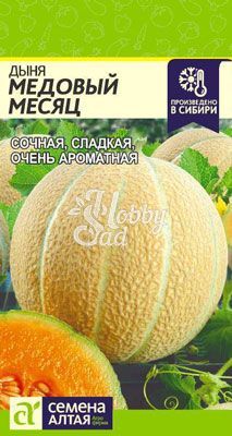 Дыня Медовый Месяц (0,5 гр) Семена Алтая