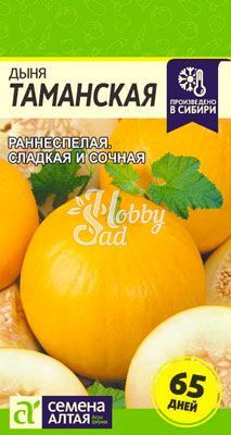 Дыня Таманская (Ранняя 133) (1 гр) Семена Алтая