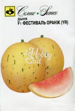 Дыня Фестиваль Оранж F1 (5 шт) Семко