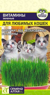 Зеленые Витамины для любимых Кошек (10 гр) Семена Алтая