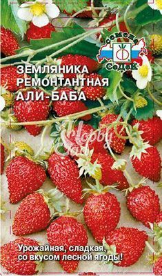 Земляника Али-Баба (0,04 г) Седек