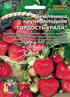 Земляника Гордость Урала крупноплодная (10 шт) Уральский Дачник
