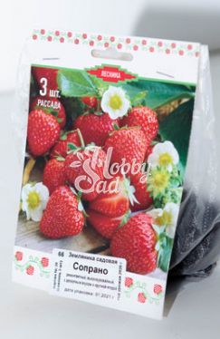 Земляника садовая Сопрано (Fragaria ananassa Soprano) (капер 3 шт) Поиск