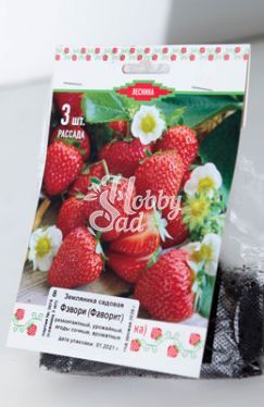 Земляника садовая Фэвори (Фаворит) (Fragaria ananassa Favori) (капер 3 шт) Поиск