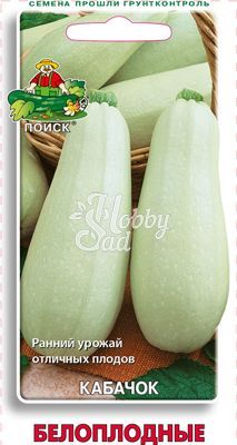 Кабачок Белоплодные (12 шт) Поиск