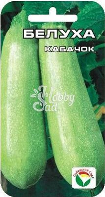 Кабачок Белуха (5 шт) Сибирский Сад