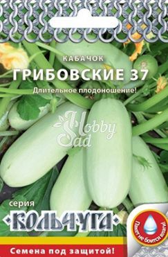 Кабачок Грибовские 37 (1,5 г) серия Кольчуга