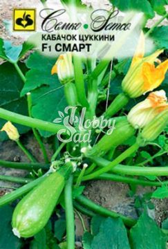 Кабачок Смарт F1 (5 шт) Семко