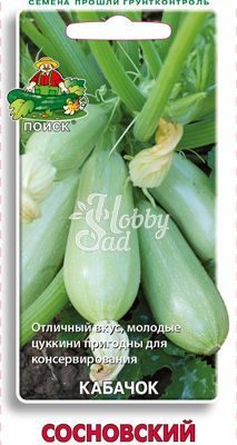 Кабачок Сосновский (12 шт) Поиск