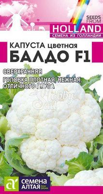 Капуста Балдо F1 Цветная (10 шт) Семена Алтая Seminis