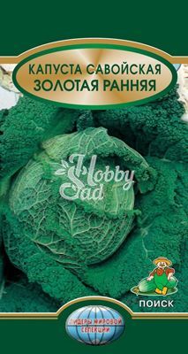 Капуста Золотая ранняя савойская (0,5 гр) Поиск Лидеры Мировой Селекции