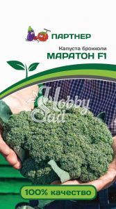 Капуста Маратон F1 брокколи (10 шт) Партнер