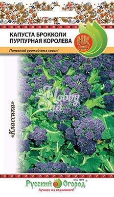 Капуста Пурпурная королева брокколи (0,1 г) Русский Огород 