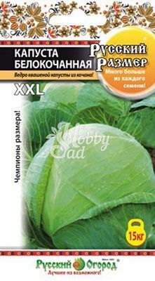 Капуста Русский Размер белокочанная (50 шт) серия Русский Размер Русский Огород