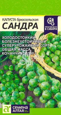 Капуста Сандра Брюссельская (0,5 гр) Семена Алтая