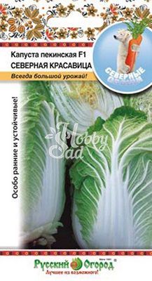 Капуста Северная красавица F1 пекинская (50 шт) серия Северные овощи Русский Огород