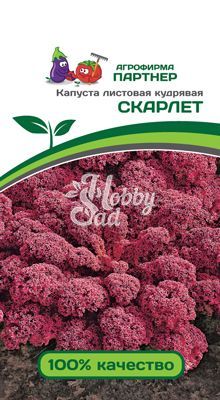 Капуста Скарлет листовая кудрявая (0,3 г) Партнер 