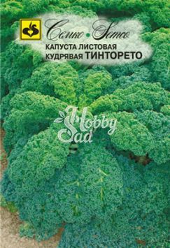 Капуста Тинторето листовая кудрявая (0,3 г) Семко