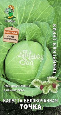 Капуста Точка белокочанная серия Сибирская (0,5 гр) Поиск