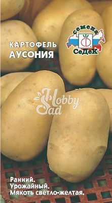 Картофель Аусония (0,02 г) Седек