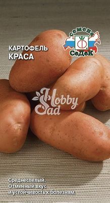 Картофель Краса (0,02 г) Седек