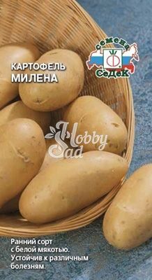 Картофель Милена (0,02 г) Седек