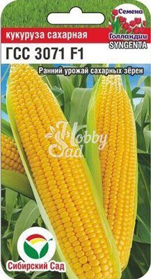 Кукуруза ГСС 3071 F1 (6 шт) Сибирский Сад