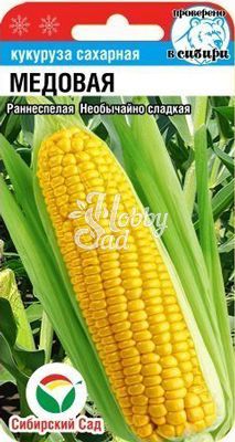 Кукуруза Попкорн (10 шт) Сибирский Сад