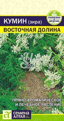 Кумин Восточная Долина (Зира) (1 гр) Семена Алтая