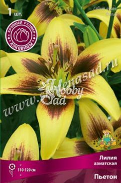Лилия азиатская Пьетон 16/18 (1 шт) Поиск