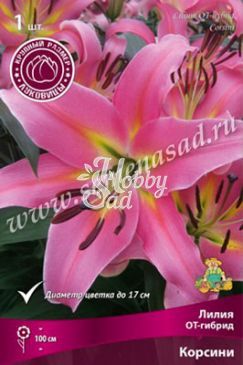 Лилия ОТ-гибрид Корсини 16/18 (1 шт) Поиск