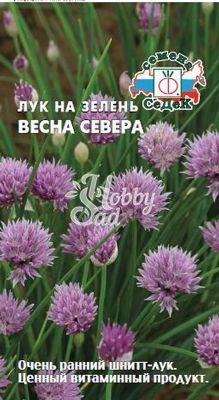 Лук Весна Севера шнитт (0,5 г) Седек