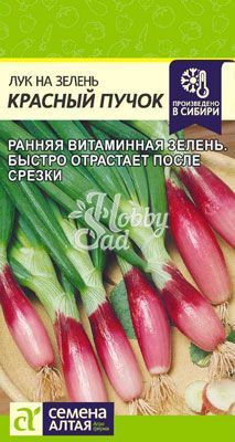 Лук Красный Пучок на зелень (0,3 гр)  Семена Алтая